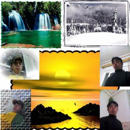 talibi