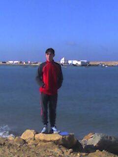 talibi